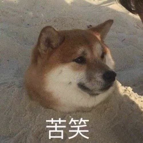看着如今柬埔寨对中国人的态度,不禁感到心寒。